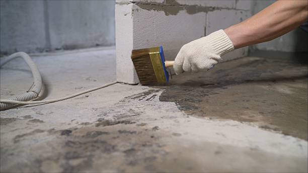 24/7 Emergency Wet Basement Repair experts in Parma, MI